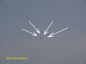 町内会のおじさんがヤクザを倒す図 町内会のおじさんがヤクザを倒す図